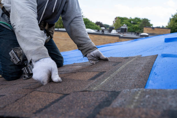 Quick and Trustworthy Emergency Roof Repair Services in Ashley, PA
