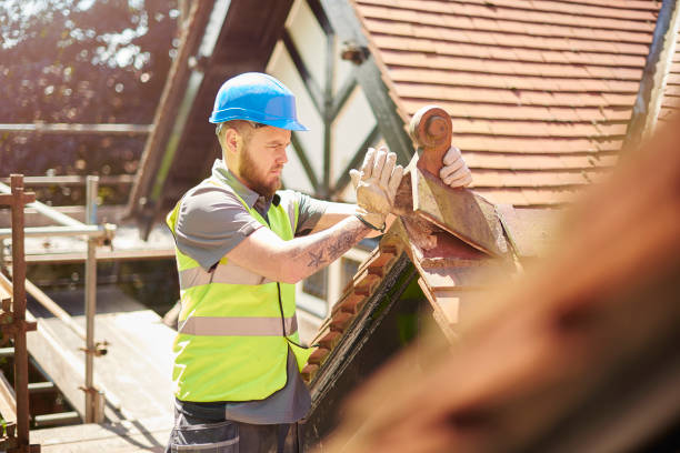Roof Gutter Cleaning in Ashley, PA